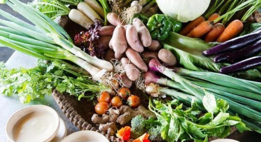 Hananoie - A Permaculture Resort Pókhara Exteriér fotografie