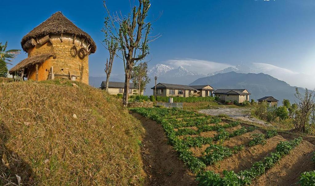 Hananoie - A Permaculture Resort Pókhara Exteriér fotografie